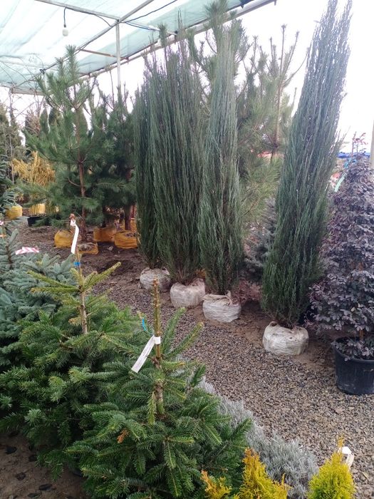 Гарантия качество