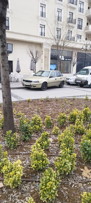 Nexia donc 2007 xolati yaxshi