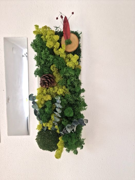 Vand tablori licheni pe comanda