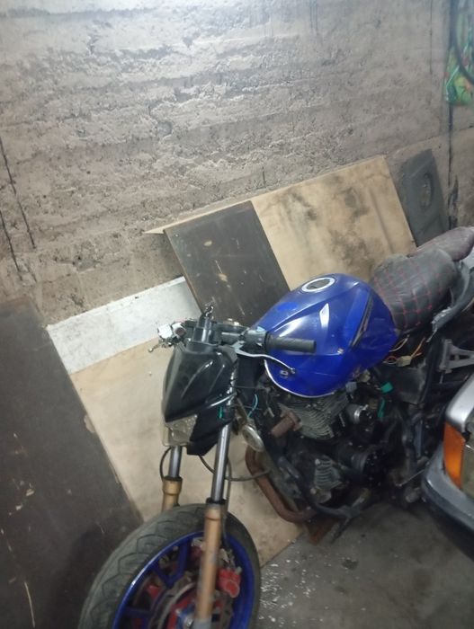 продам Рейсер фалькон