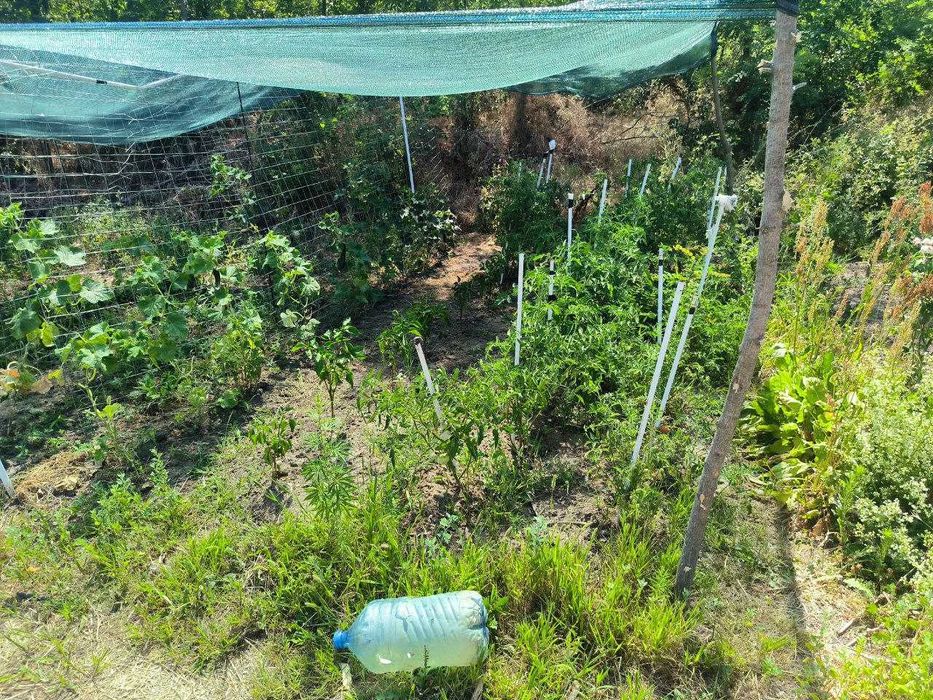 Парцел Планова 1000 м2