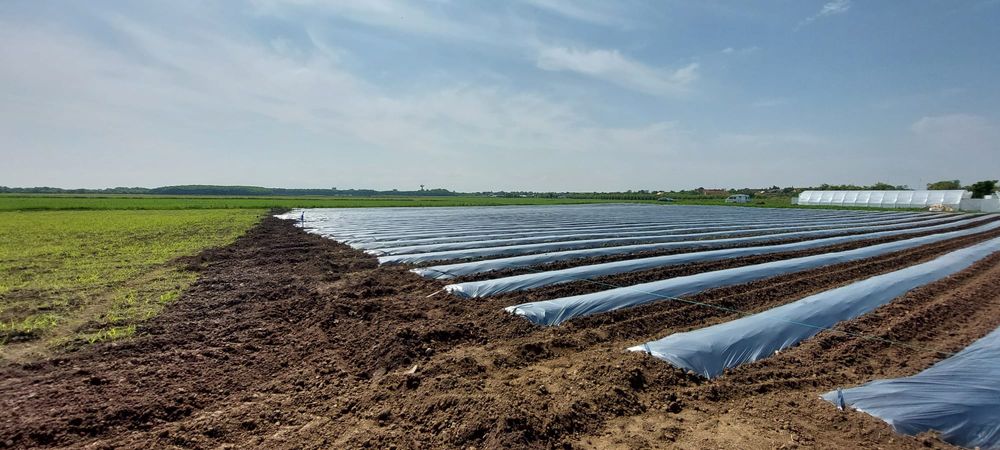 Mașină de bilonat/ Masina de intins folie cu freză Mitsubishi