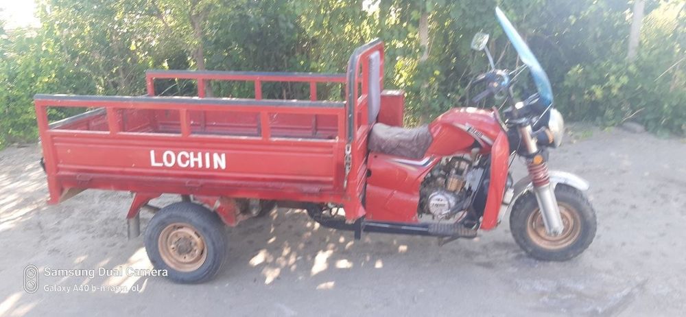 Lochin muravey 200 talik mator