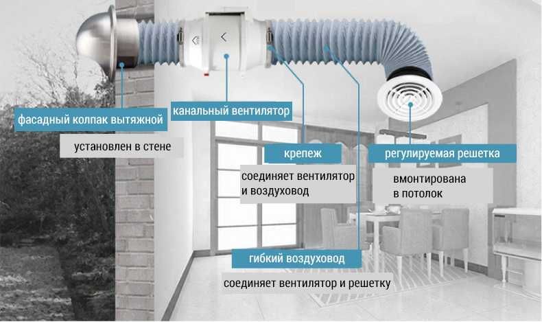 Расположение вытяжного вентилятора вертикально вниз фото