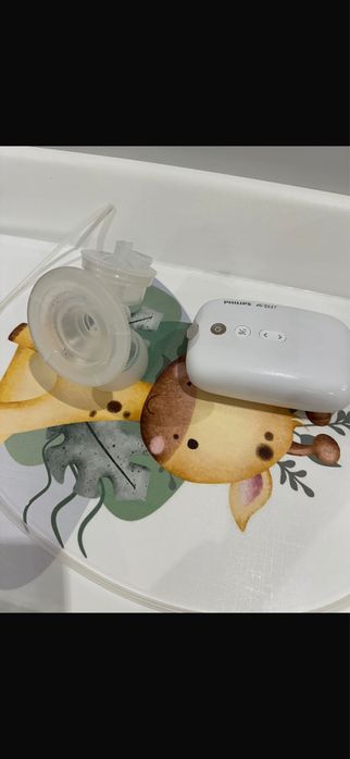 Електрическа помпа за кърма