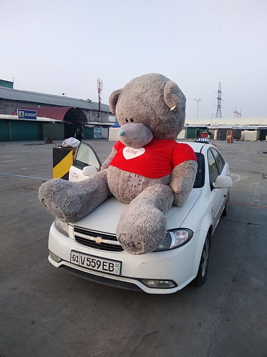 Teddy Teddi va Boshqa Xar Hil Yumshoq O'yinchoqlar