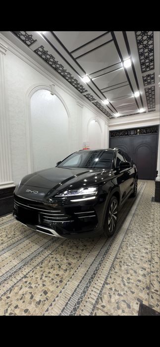 Byd chempion gibrit