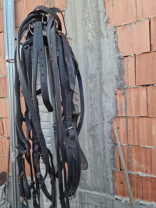 Hamuri complete frizieni