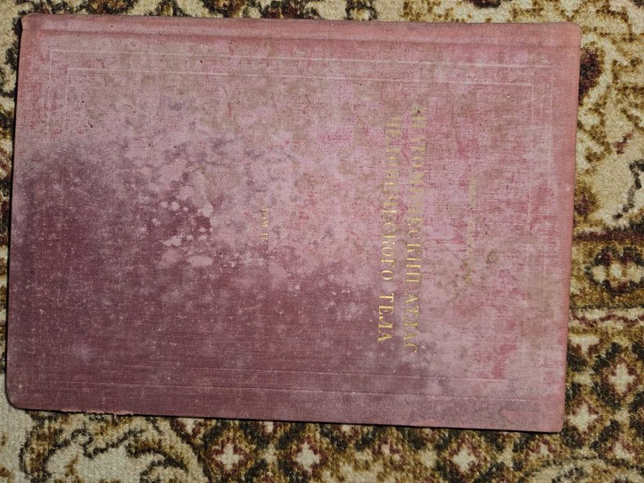 Атлас Анатомия на човека на руски език