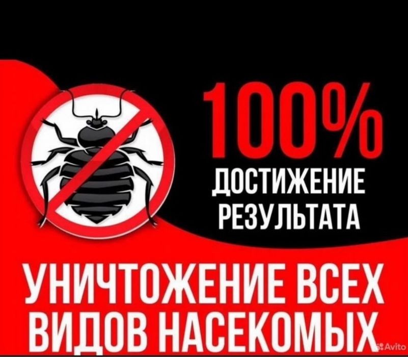 Термиты, клопы, тараканы с гарантией