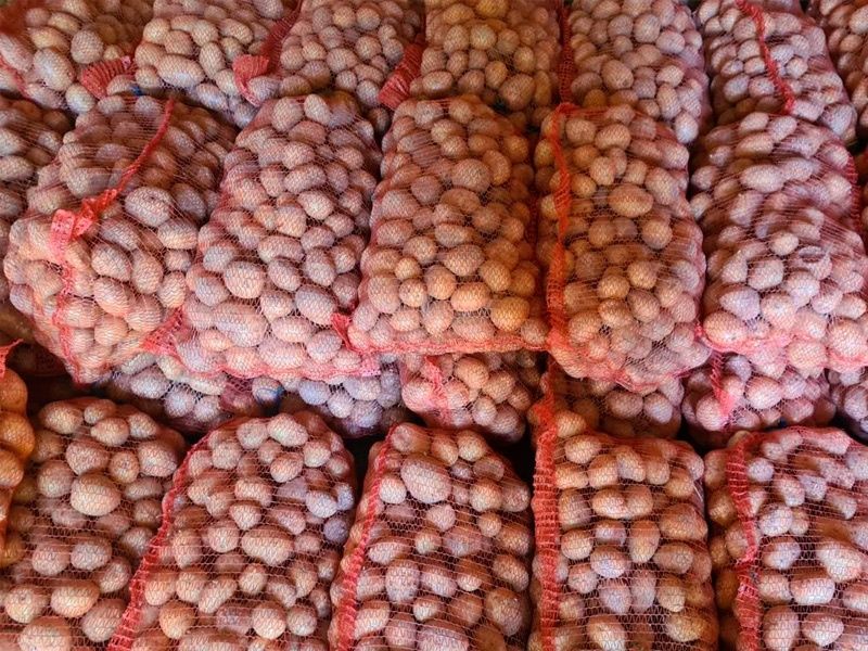 Продам картофель / картошку