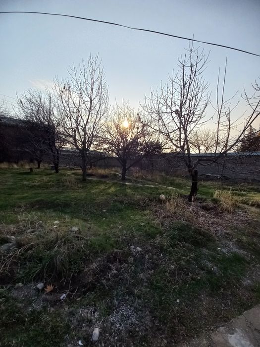 Seleksiyada Yer sotiladi 4-sotok 20 ga 20 (bu sotogining narxi)