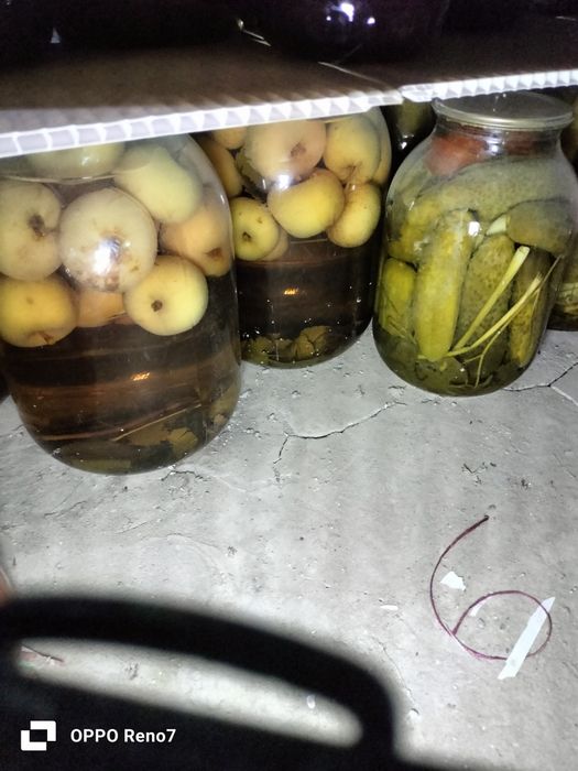 Огурцы дачные компот