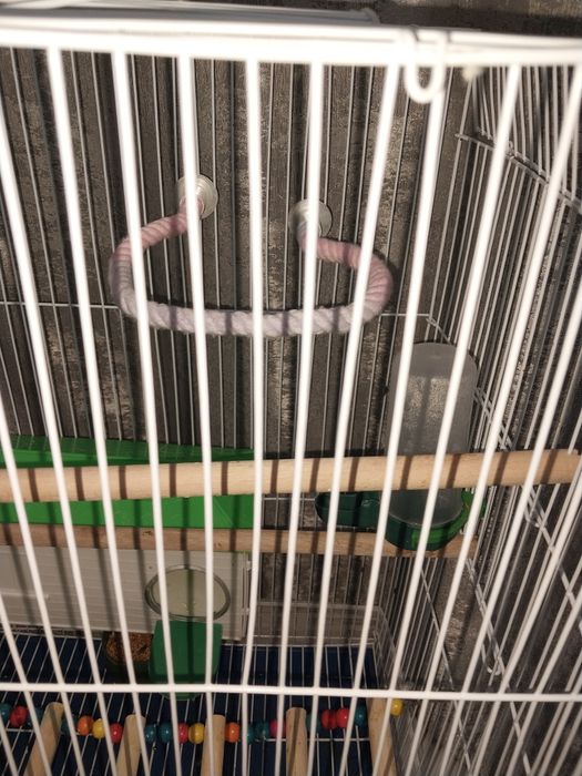 Папугайға арналған клетка