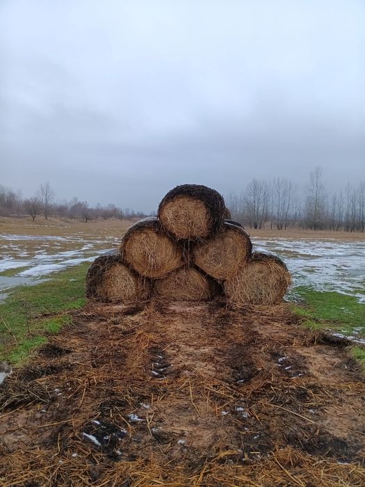 Vând baloți rotunzi