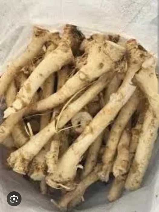 Продам свежий хрен и листья хрена