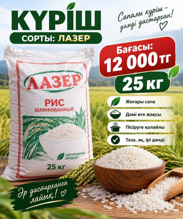 Күріш рис сорты лазер
