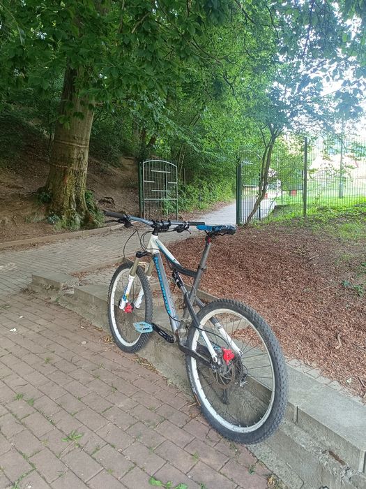 Bicicleta enduro Bergamont