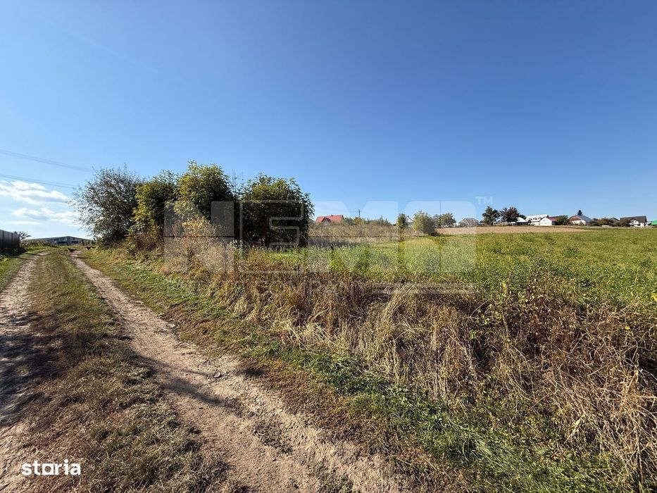 Teren intravilan Burla | 4.000 mp