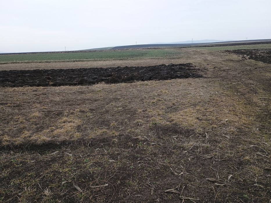 Vând Teren Extravilan