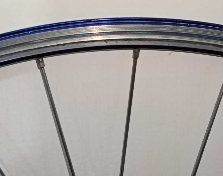 Fir Campagnolo - roți cursiera