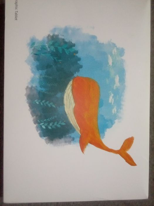 Tableta grafica 250x150mm