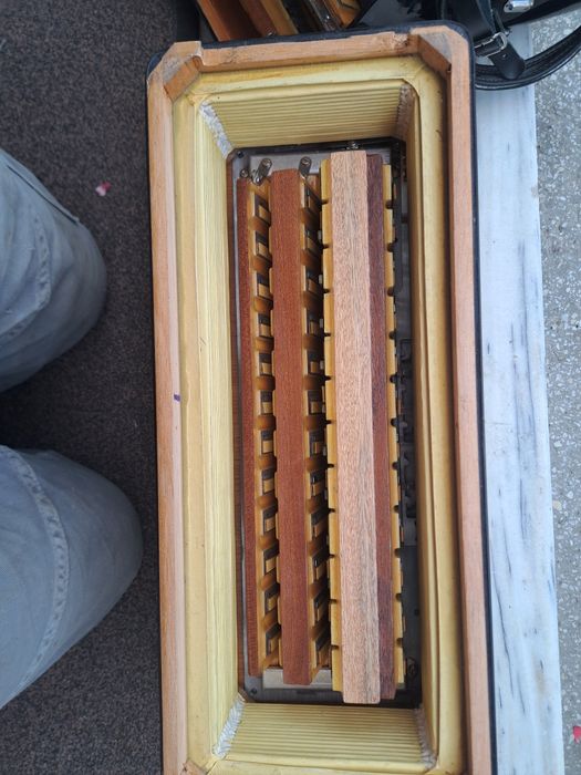 Acordeon italian crucianelli ( nou)