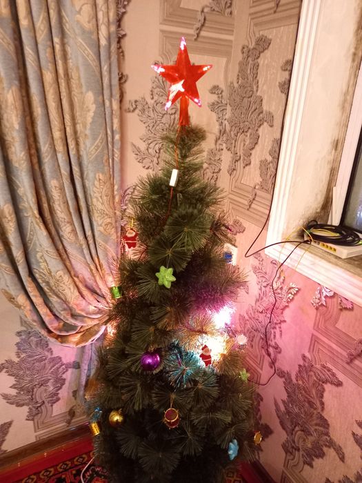 1,50 sm Archa srochniy sotiladi