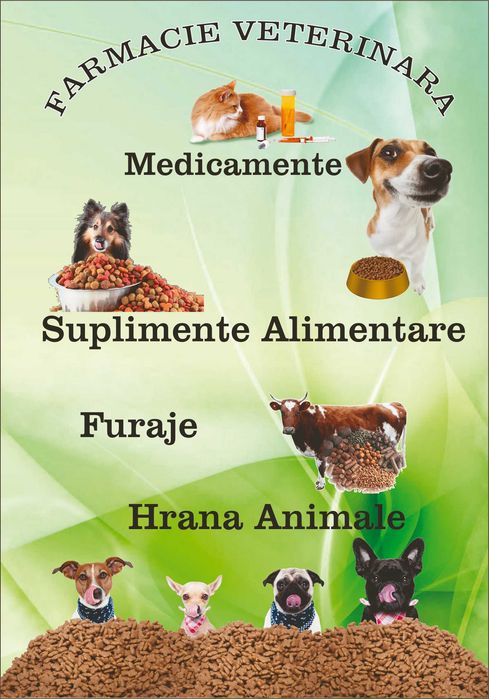 Colantare geamuri magazine si birouri