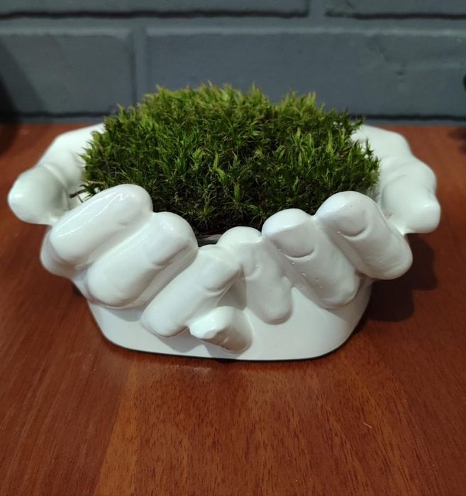 Ручная работа -Ладони"Давида"