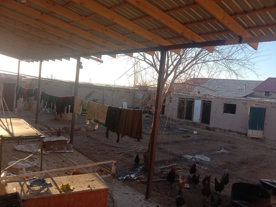 320млн келисымлы герпыш завод углавой жай