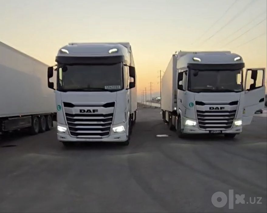 Daf XG 480.