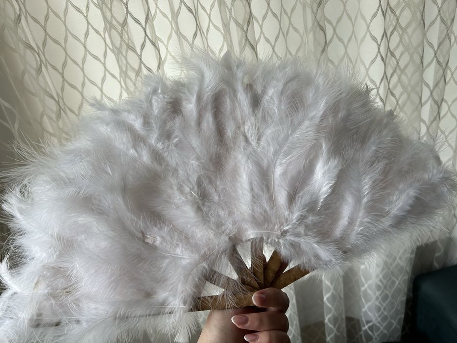 Бяло ветрило с пера