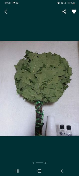 Банные веники в ассортименте