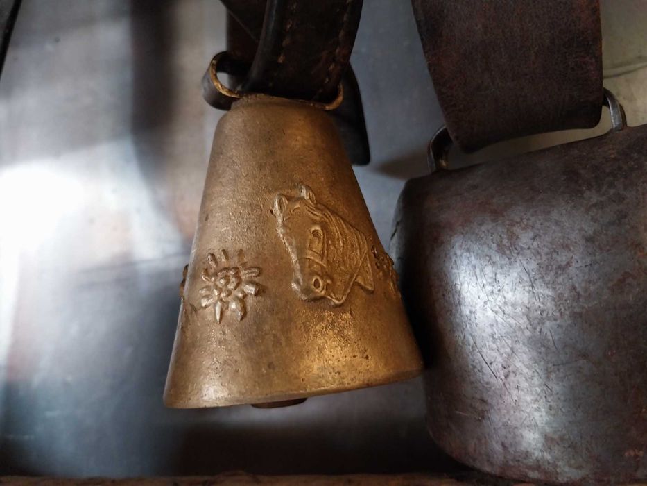 Чанове, хлопоти , звънци...