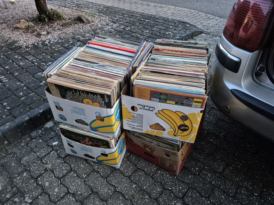 Vând Lot 200lp Discuri Vinil colectie muzica usoara mixta straina 

To