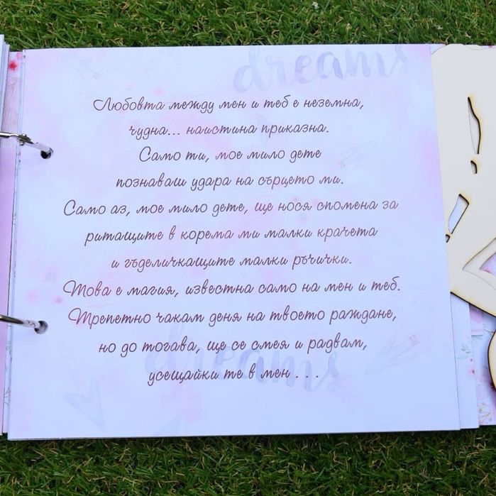 Дневниче за бременността