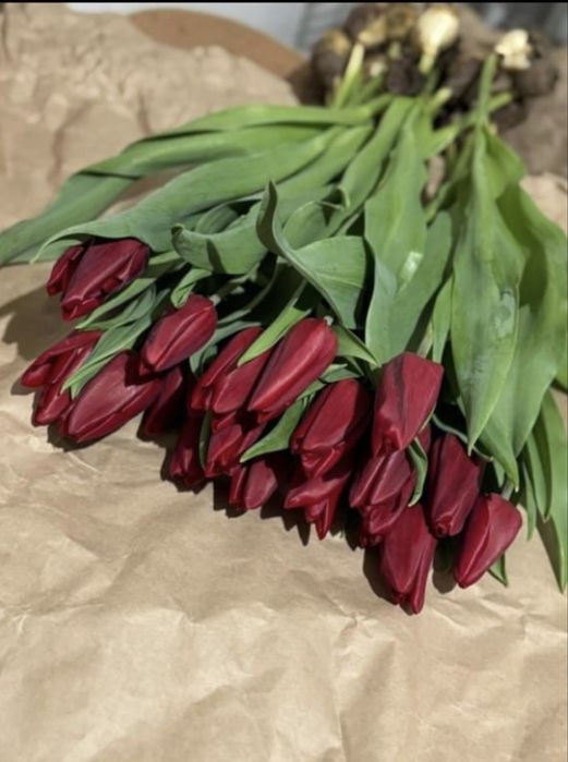 Тюльпаны Опт/Розница