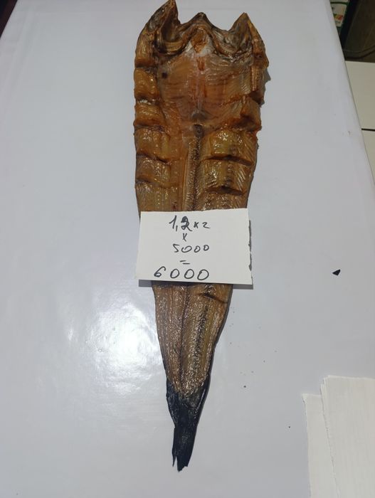 Сом копченный дешево