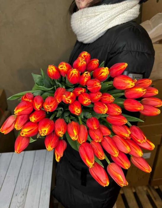 Тюльпаны оптом Астана к 8 марта 2026