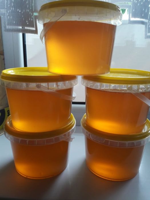 Продам мед со своей пасеки.