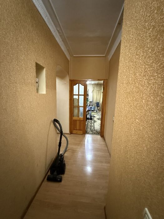 Чиланзар 1. Аллея. Высокопотлочка.