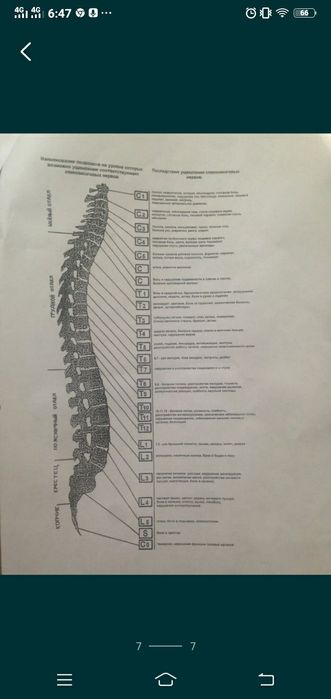 Массажная кровать Серагем