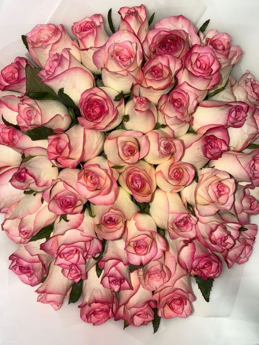 Цветы қызылорда.