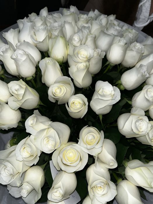 белые розы 101 25см