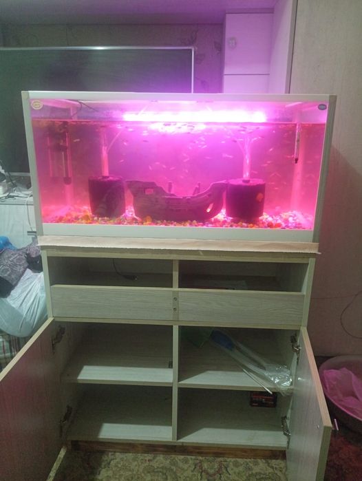 Новый уютный аквариум