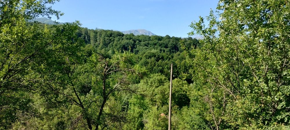 Панорамен Парцел в гр. Априлци в регулация и ПУП за курортен обект