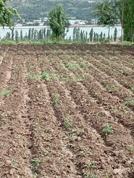 Продаётся дом  договоримся срочно с земельным участком все  документы