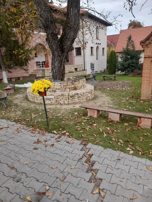 Fac ziduri piatră masivă