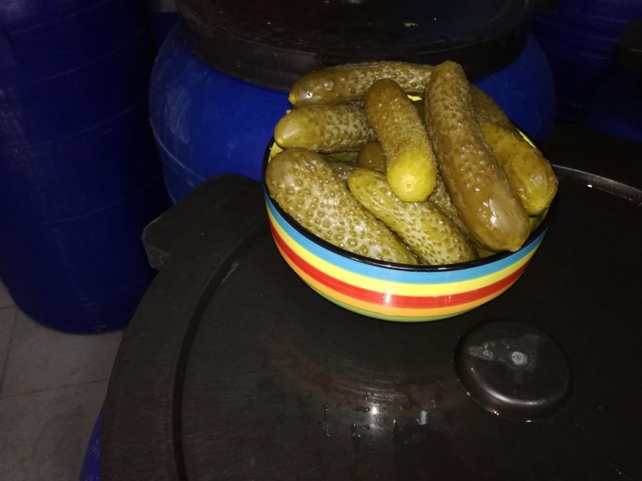 Vand castraveti murati